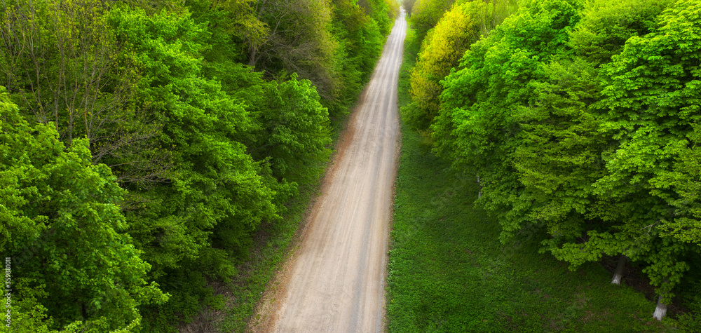Top view of a dirt forest road. Top view of a dirt forest road.