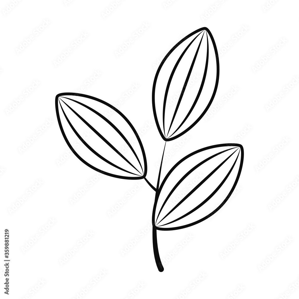 Obraz premium cute branch with leaves icon, line style