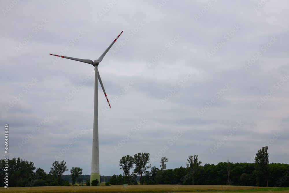 Rotor of the wind turbine Rotor of the wind turbine
