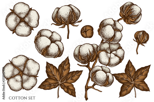 Vector set of hand drawn colored cotton