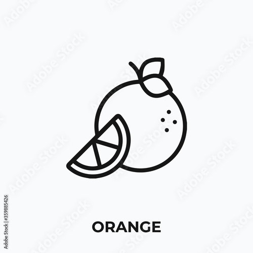 orange icon vector. orange sign symbol