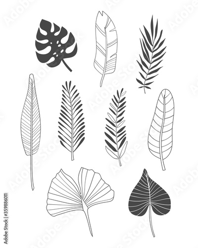 Vector illustration of various tropical leaves made in lines and spots.