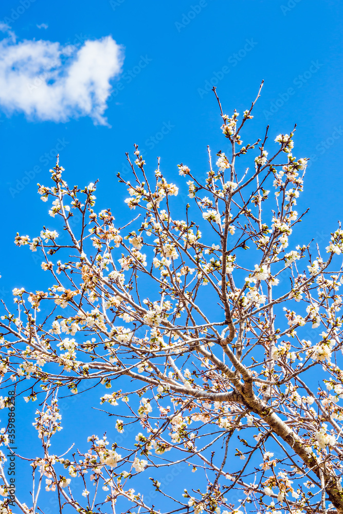 The long-awaited spring
