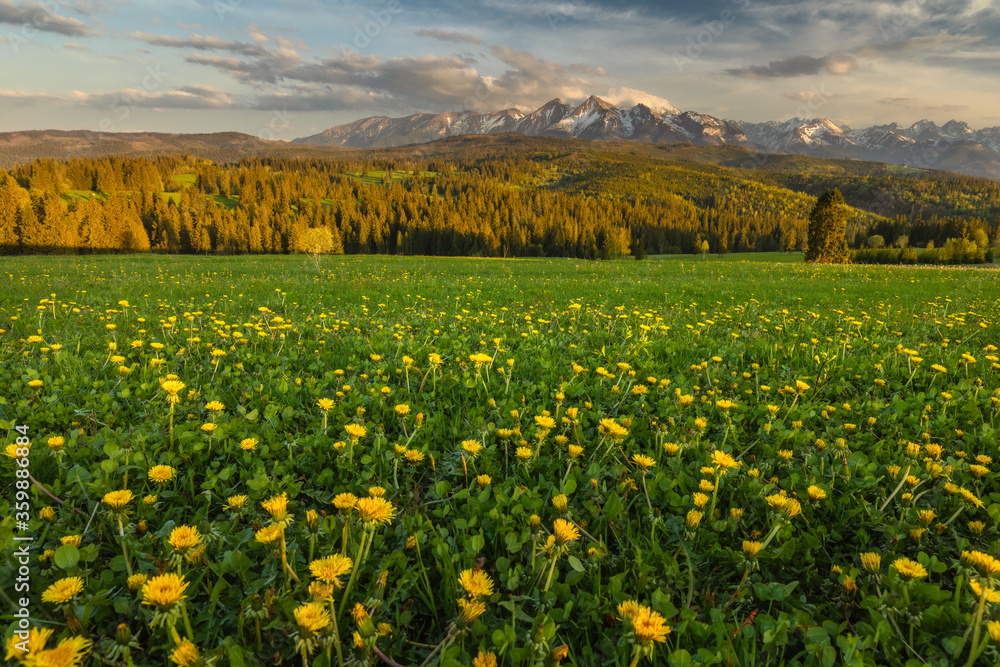 Spring in the Tatra Mountains. Green fields against the backdrop of snowy peaks. Landscape photo from Lesser Poland.