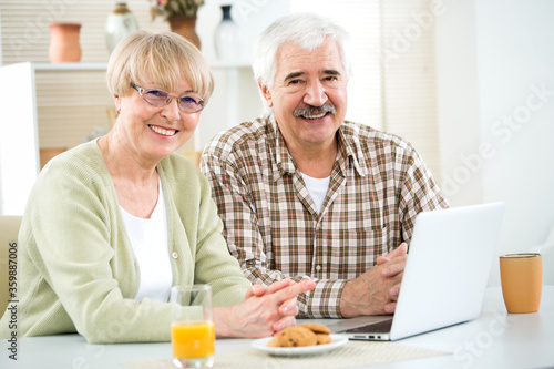 Happy elderly couple with laptop smiling at camera