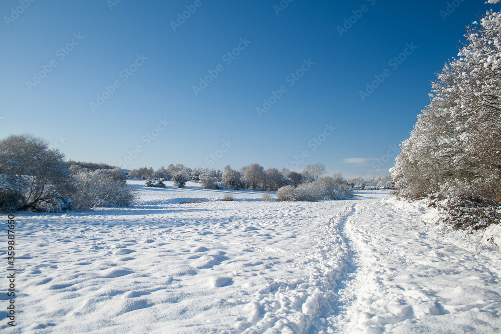 Obraz premium winter landscape with snow