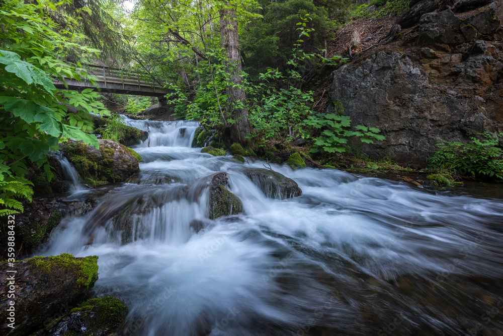 Mchugh Creek