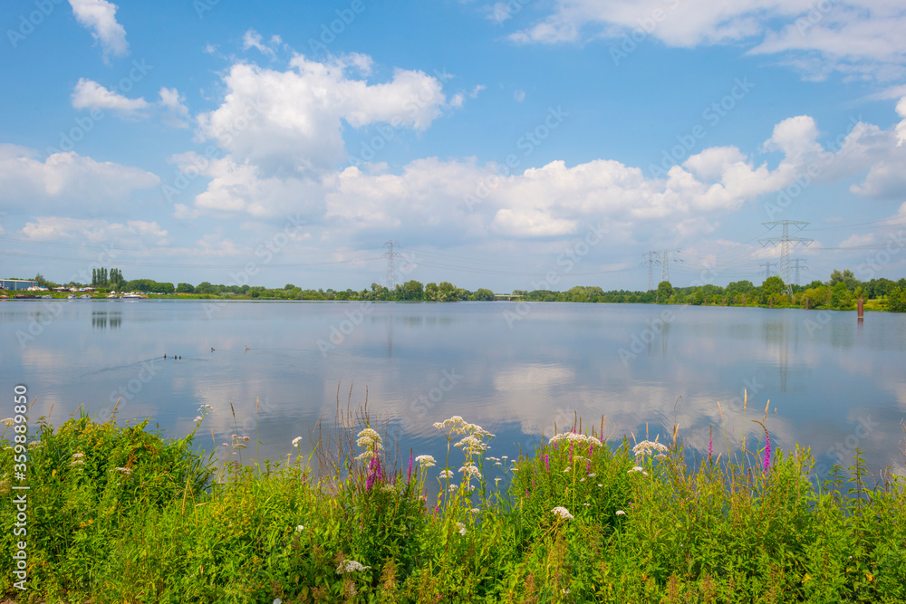 Edge of a sunlit lake with small islands with birds breeding reflecting a blue cloudy sky in summer