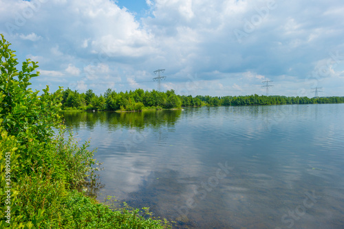 Fototapeta Naklejka Na Ścianę i Meble -  Edge of a sunlit lake with small islands with birds breeding reflecting a blue cloudy sky in summer