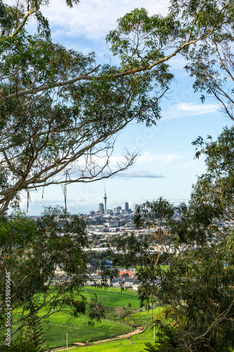Auckland city center from the suburbs