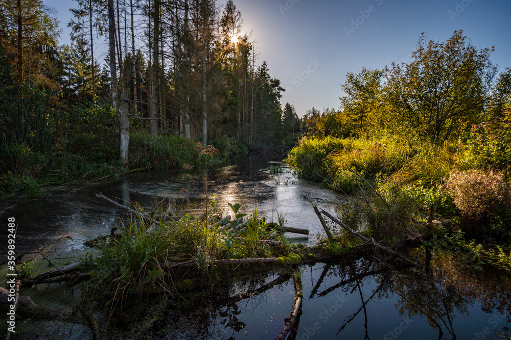 Nature reserve Pfrunger-Burgweiler-Ried in autumn