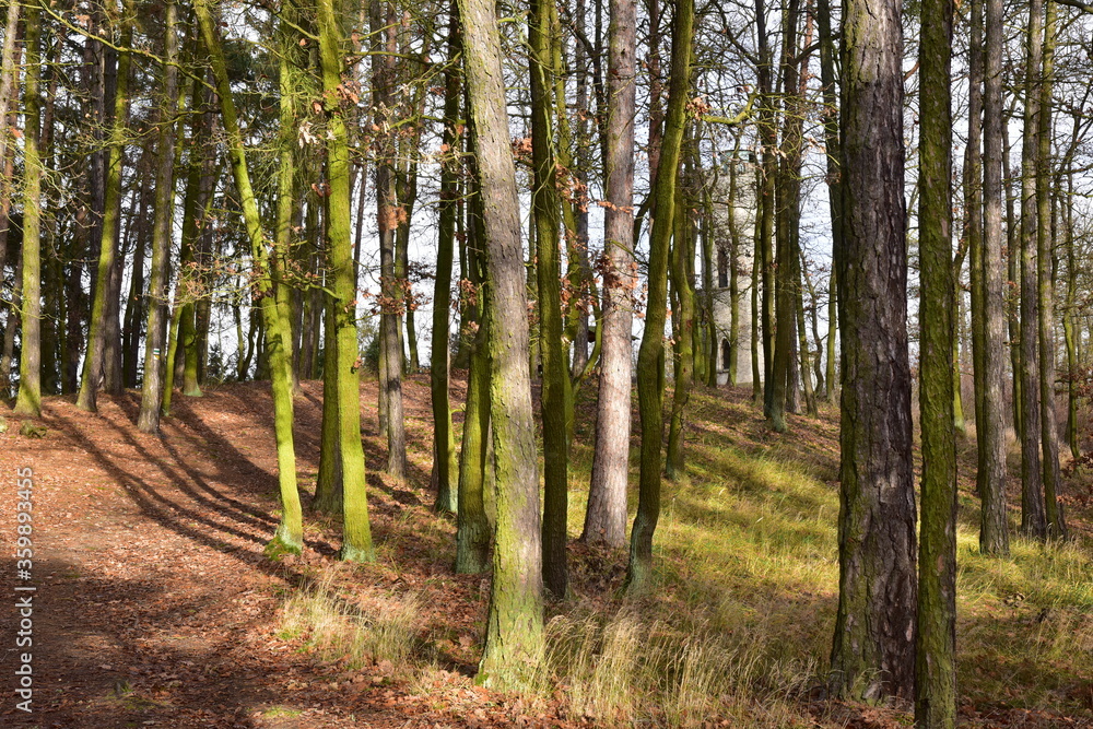 Fototapeta premium Rozhledna Ded, Ded Lookout Tower