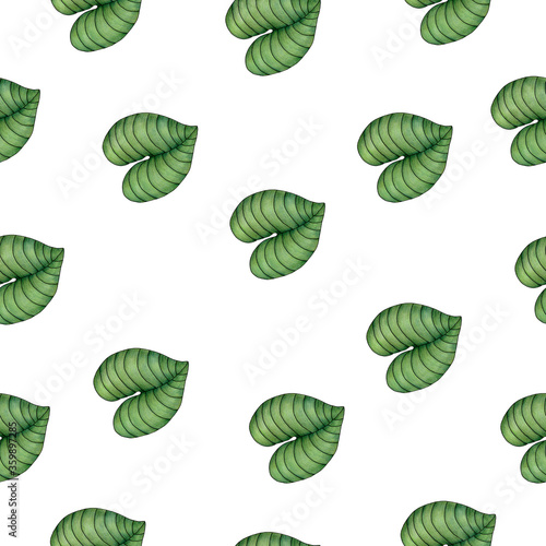 seamless pattern with tropical leaves, tropical summer background for fabric, wrapping or wallpaper, cute hand drawn botanic illustration © IBeart