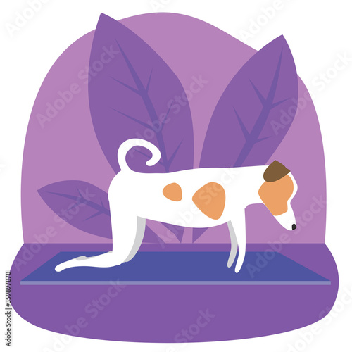 Jack russell terrier or cute character doing yoga on plants background, flat vector stock illustration with dog doing yoga asanas Sahaja Purvottanasana
