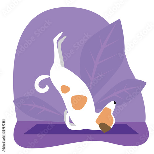 Jack russell terrier or cute character doing yoga on plants background, flat vector stock illustration with dog doing yoga asanas Viparita Karani Mudra