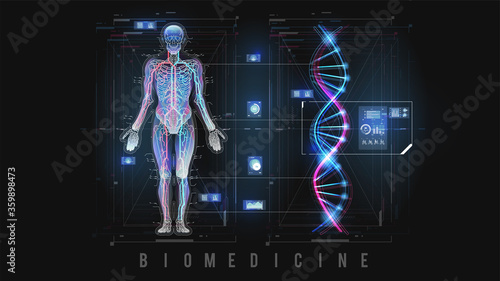 DNA formula and molecular structure Human body. Future concept. Scan human organs. Vector HUD. Display set of virtual interface elements. Modern medical examination style.