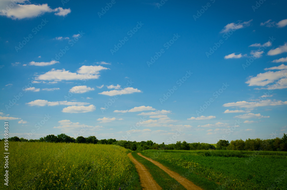 Summer country road and fields on the background of the blue beautiful cloudy sky