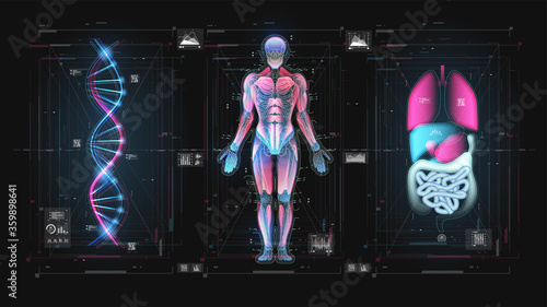 Sci infographic. Virtual graphic touch HUD display with illustration. HUD, GUI, UI, dashboard element ui medical examination. Human body. Body hologram, futuristic design.