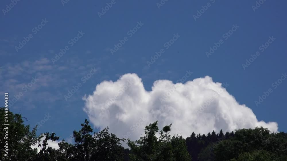 Cloud disappearing behind the trees in fast motion
Cloud disappearing behind the trees in fast motion