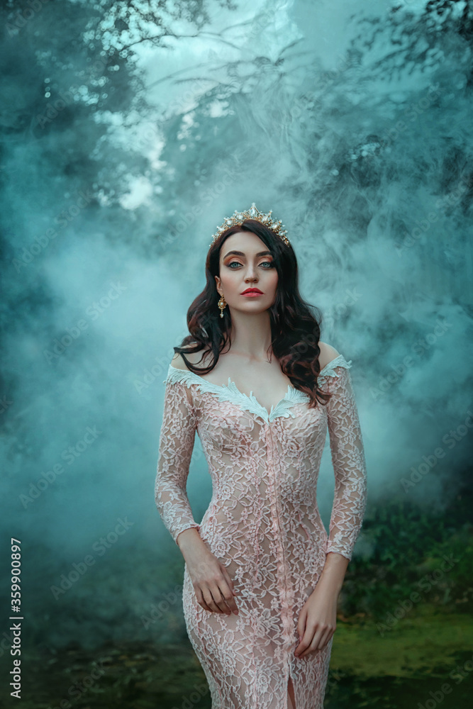 Fotka „portrait beautiful charming woman Queen. Pink evening luxury long  lace sexy dress. Girl princess brunette loose hair. Tiara, golden crown  sparkles gem rhinestones. haze fog, dark silhouettes trees“ ze služby Stock