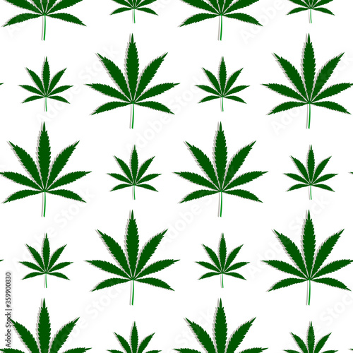 Pattern with Cannabis leaves, marijuana plants floral seamless vector background design