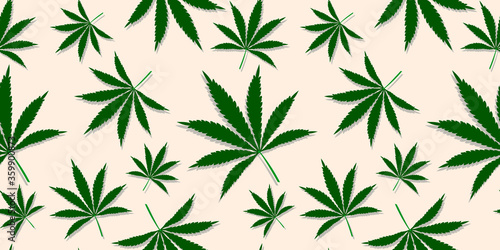 Pattern with Cannabis leaves  marijuana plants floral seamless vector background design