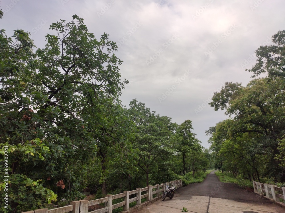 Countryside Bridge On Road In Monsoon Season