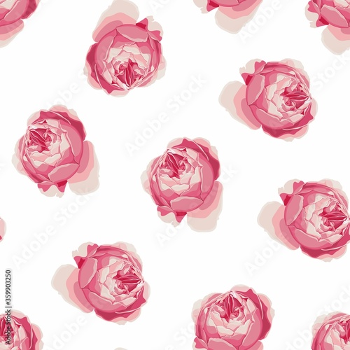 Seamless pattern with roses. Perfect for background greeting cards and invitations for wedding, birthday, Valentine's Day, Mother's Day. White background.