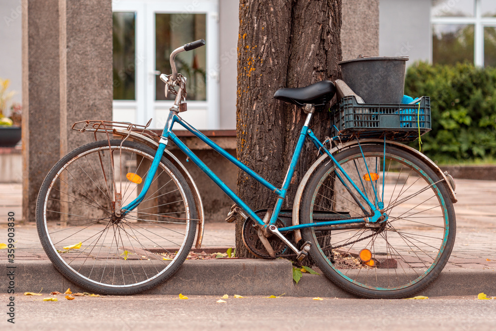 Old bicycle leaning on the tree