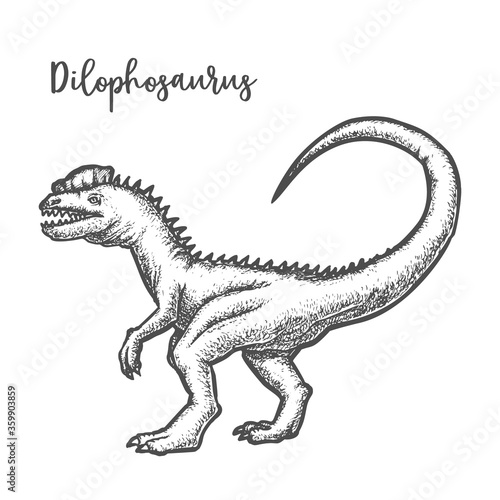 Dilophosaurus dinosaur vintage vector sketch. Prehistoric animal