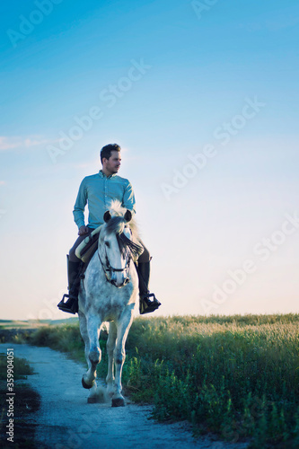 Rider on his horse in the field surrounded by cereal. Practicing horse riding.