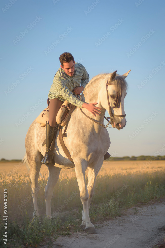 Rider on his horse in the field surrounded by cereal. Practicing horse riding.