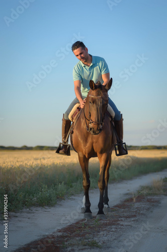 Rider on his horse in the field surrounded by cereal. Practicing horse riding.
