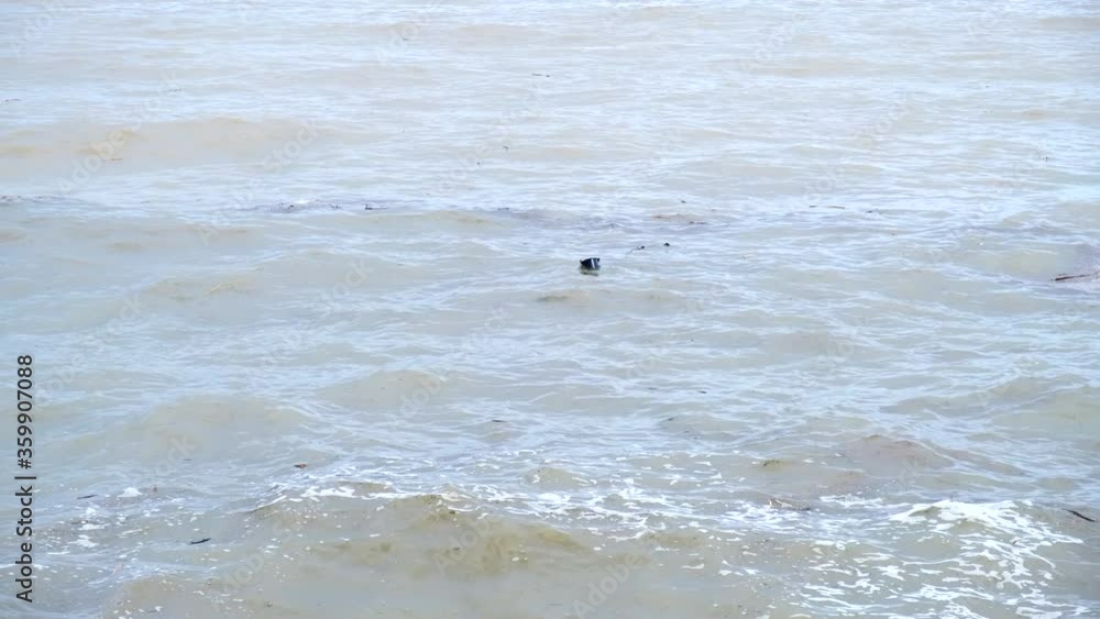 Plastic pollution in the sea water. Ecological problem. Environmental hazard. Dirty waste pollution, marine rubbish. Polluted sea water. Plastic pollution in the sea water. Ecological problem. Environmental hazard. Dirty waste pollution, marine rubbish. Polluted sea water.