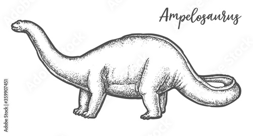 Ampelosaurus dino sketch or Sauropod dinosaur vector