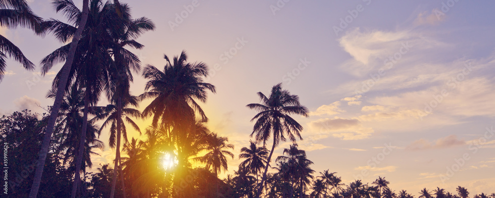 Tropical sunset with coconut palm trees and sky.