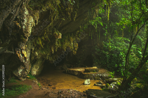 river in the florest