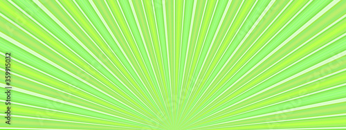abstract green background with ray sunshine textures pattern wallpaper vector illustration graphic design modern style trendy 