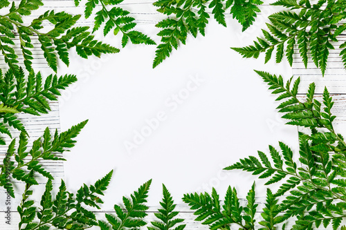 Green Fern Leaves or Leather Leaf on White Vintage Wooden Background with Sheet of Paper. Design concept for mothers day, wedding and valentines day with copy space. Selective focus.
