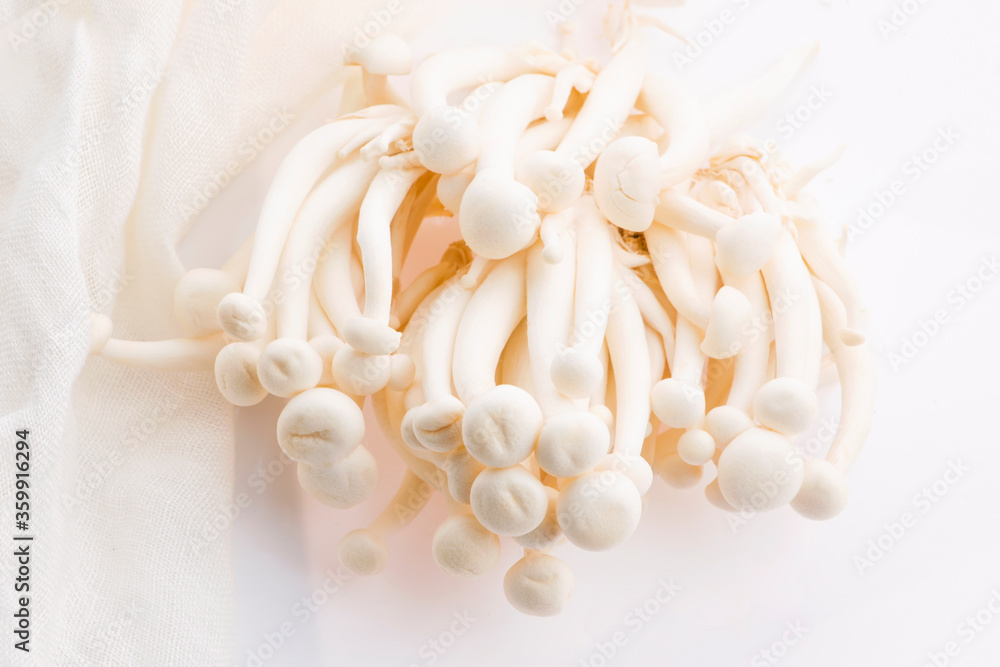 White beech mushrooms, Shimeji mushroom White beech mushrooms, Shimeji mushroom