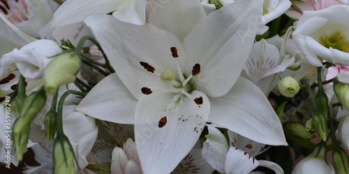 white flower