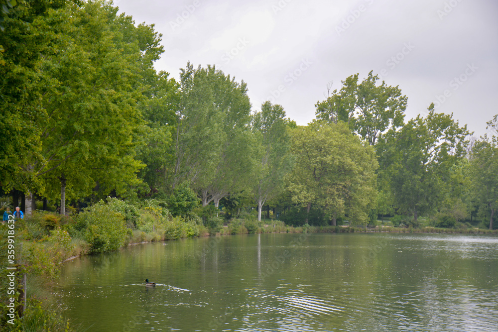 beautiful pond in the middle of the Park beautiful pond in the middle of the Park