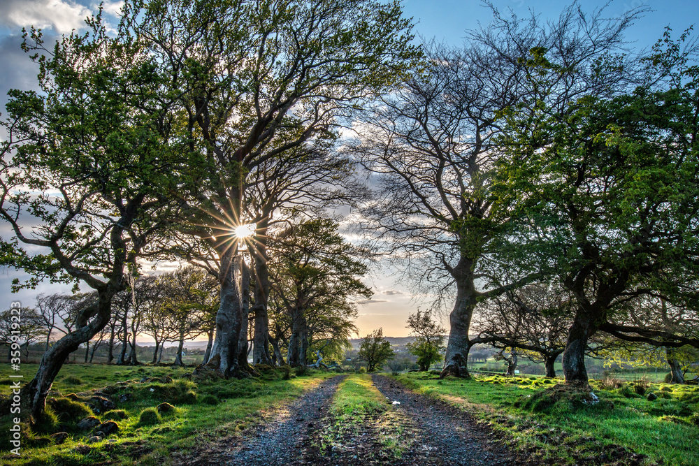 Irish landscapes