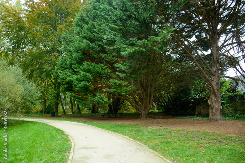 path in the Park and trees