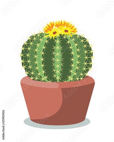 Big cactus ball in a red ceramic pot, decorative desert plant called notocactus or eriocactus. Vector illustartion isolated on white