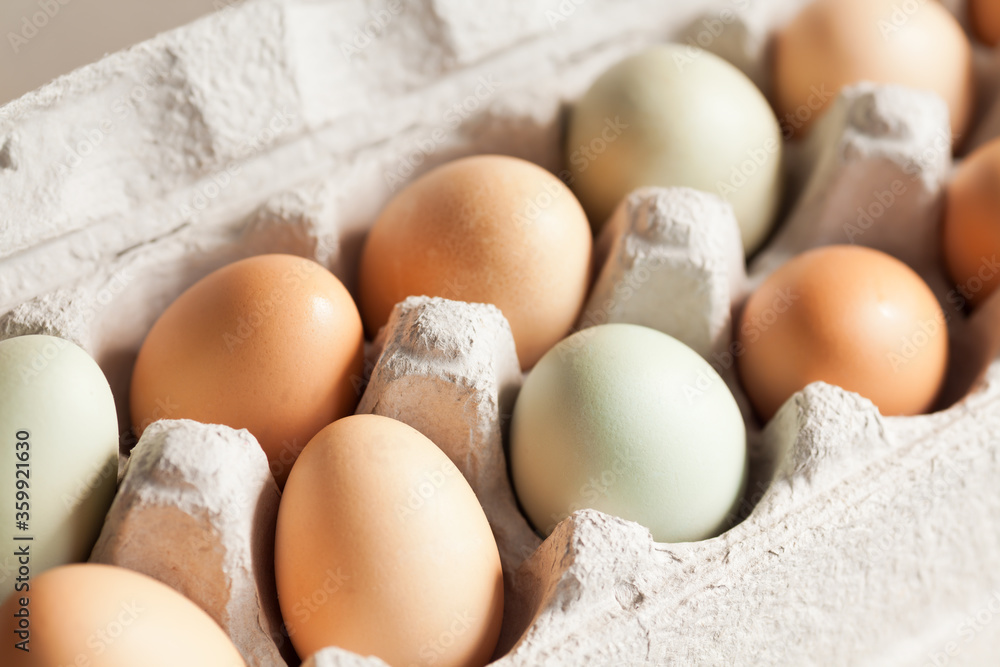 Fresh food healthy source of protein organic eggs in a carton in natural light closeup Fresh food healthy source of protein organic eggs in a carton in natural light closeup