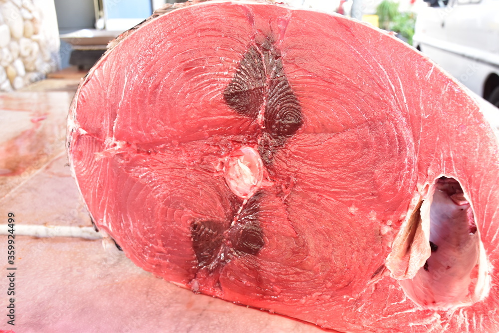 Tonno Rosso mercato di Palermo, Sicilia
