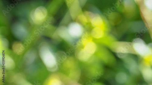 blurred green and yellow abstract background.