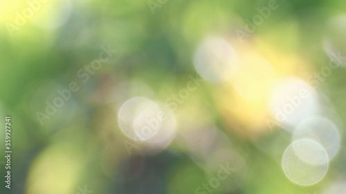 blurred green and yellow abstract background.