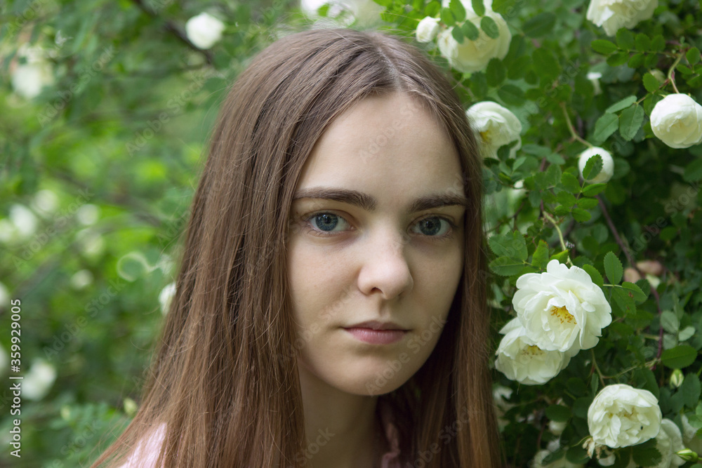 Portrait of a beautiful romantic naive young long-haired girl near a bush of white roses. A girl with gray, clear eyes, without makeup. Portrait of a beautiful romantic naive young long-haired girl near a bush of white roses. A girl with gray, clear eyes, without makeup.
